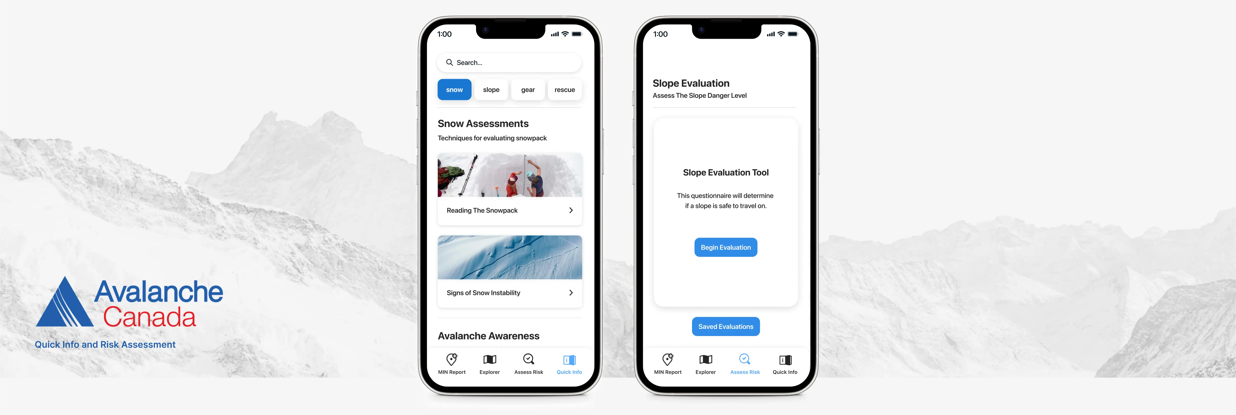 Two mockups of the final designs for the Quick Info and Risk Assessment app expansions
