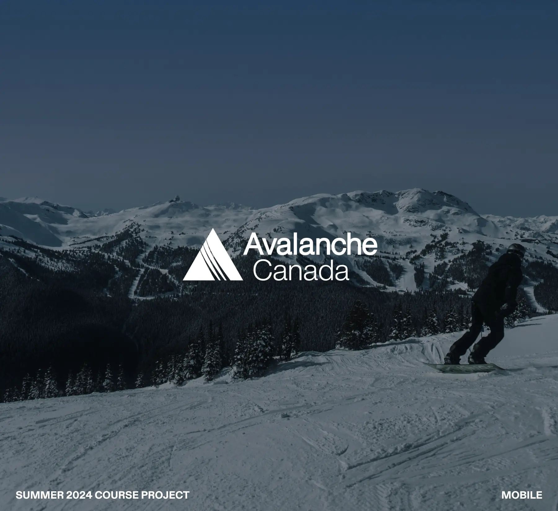 Avalanche Canada landing