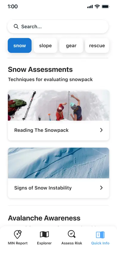 First UI of the Quick Info section - depicts the 'Snow' category of informational content